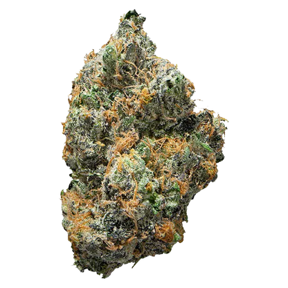 Close-up of a frosty green and orange nug photographed against a white background, labeled BC Organic Tea Time.