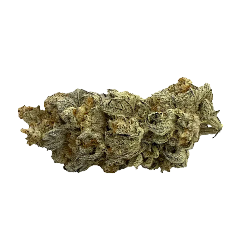 Close-up of a frosty, pale green bud of Dante's Inferno centered on a white background, showing trichomes and orange hairs.