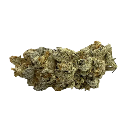 Close-up of a frosty, pale green bud of Dante's Inferno centered on a white background, showing trichomes and orange hairs.