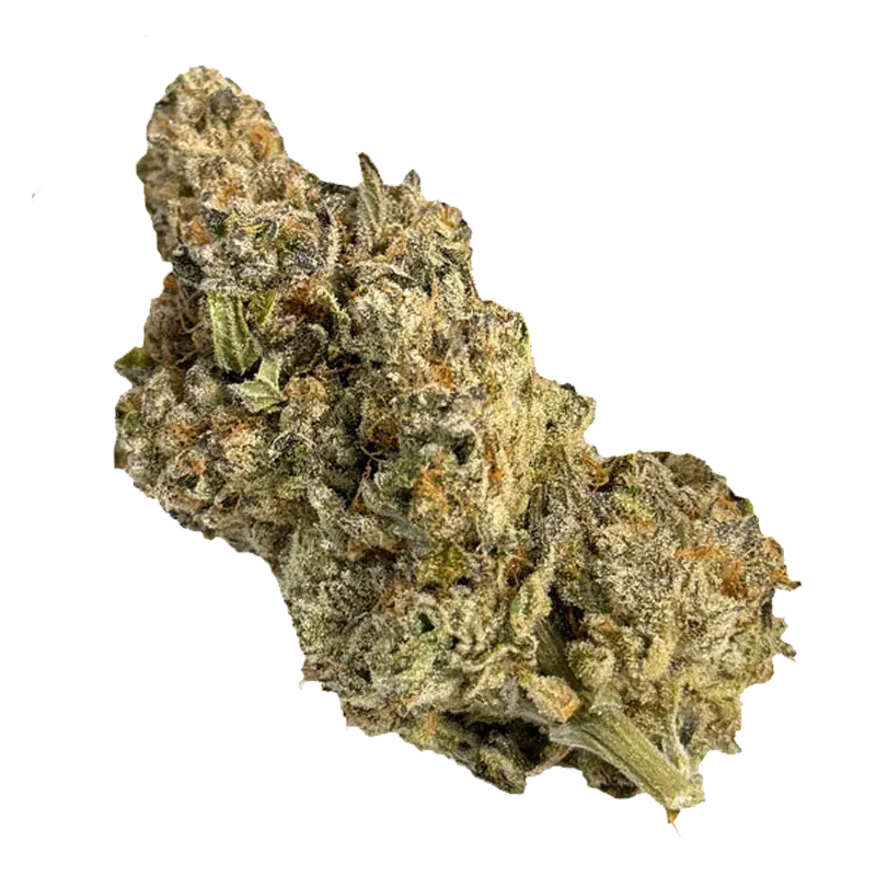 Close-up, angled view of a frosty, green-and-orange bud labeled Platinum Kush Breath, showing dense trichomes and a short stem.
