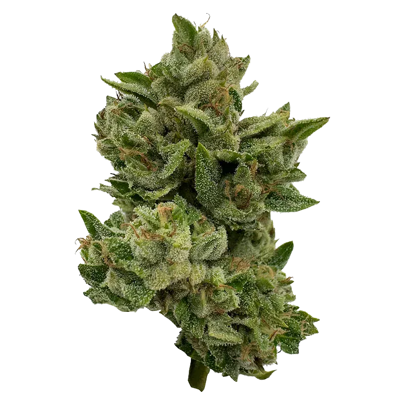 Deelish 28 g Pretty Sweet Flower
