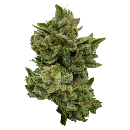 Deelish 28 g Pretty Sweet Flower