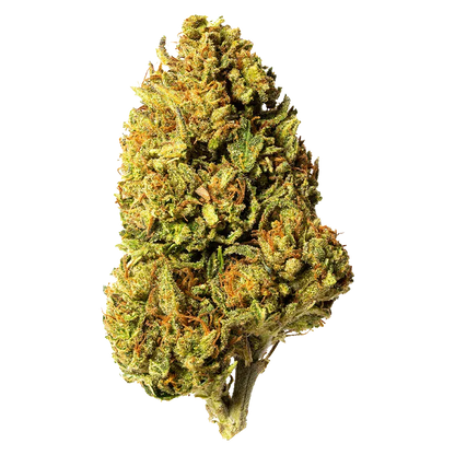 Close-up front view of a single dense cannabis bud labeled Bleuh Light CBD against a plain white background.