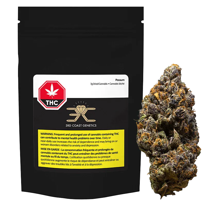 Front-facing shot of the Possum pouch by 3RD COAST GENETICS with a single frosty cannabis bud beside it on a white background.