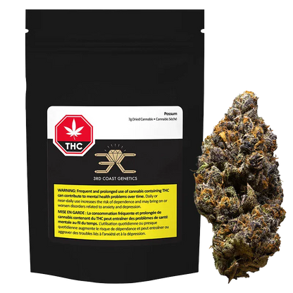 Front-facing shot of the Possum pouch by 3RD COAST GENETICS with a single frosty cannabis bud beside it on a white background.