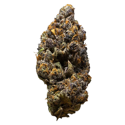 High-resolution close-up of a single "Possum" cannabis bud showing purple-green hues, orange pistils, and frosty trichomes against a white background