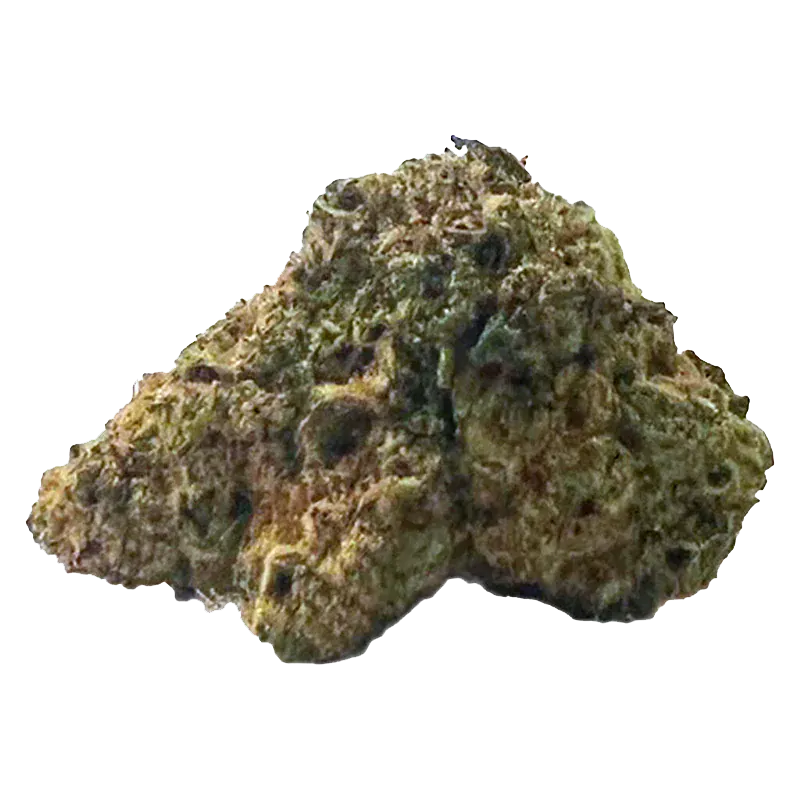 Close-up of a single greenish-brown nugget of Frost'd Flakes centered on a white background.