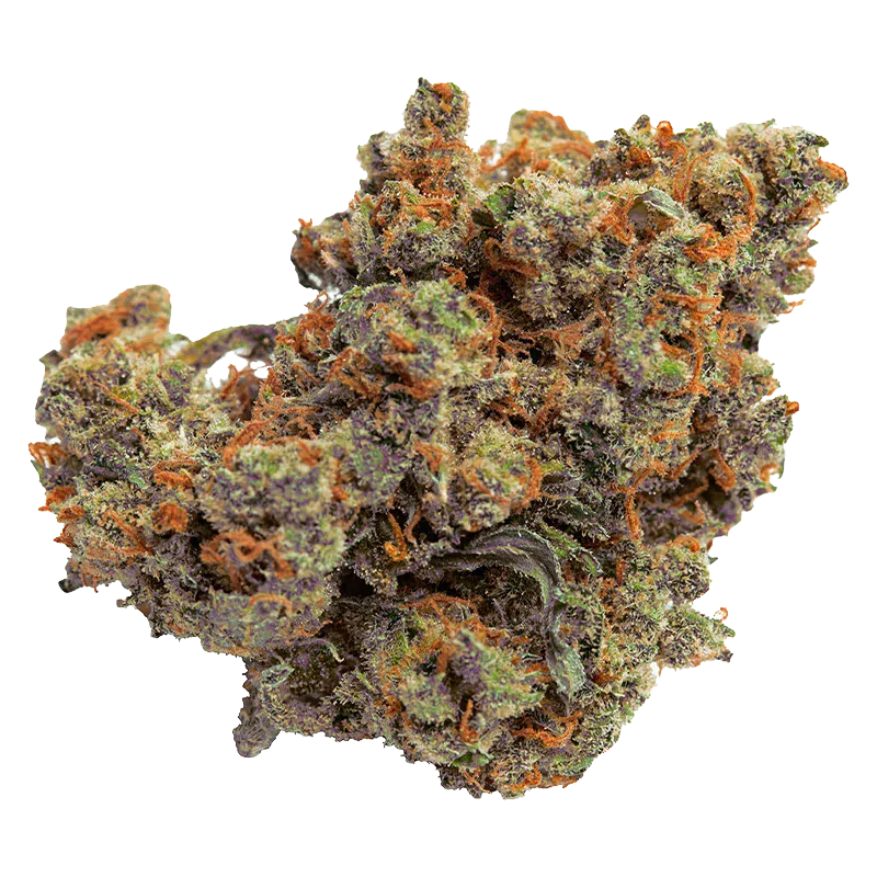 Close-up of a dense, frosty cannabis bud with purple and green hues and orange pistils, labeled Lazer Jet Craft.