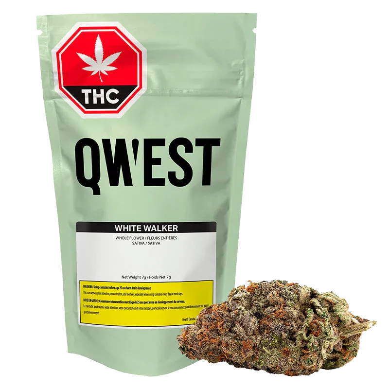 Qwest 7 g White Walker Craft Flower