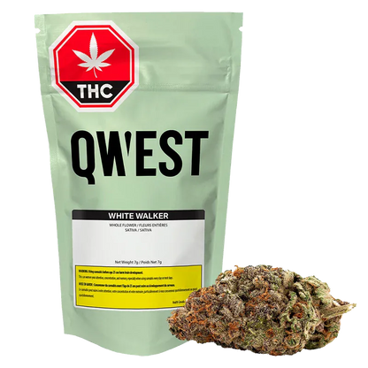 Qwest 7 g White Walker Craft Flower