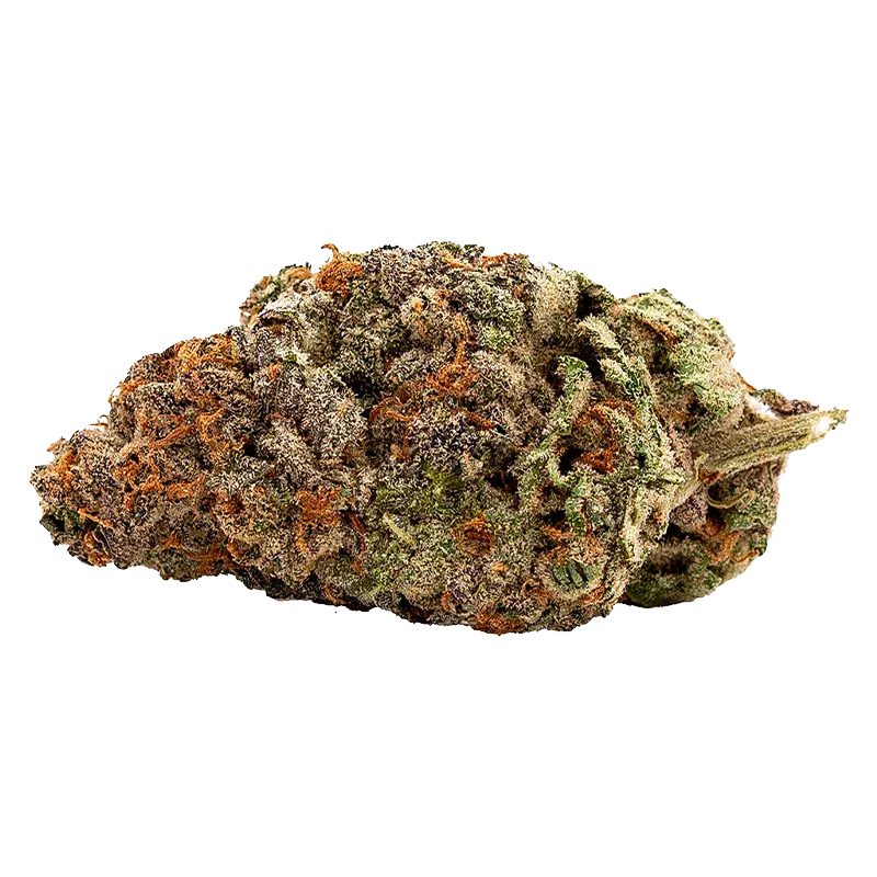 Qwest 7 g White Walker Craft Flower