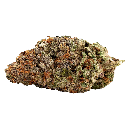 Qwest 7 g White Walker Craft Flower