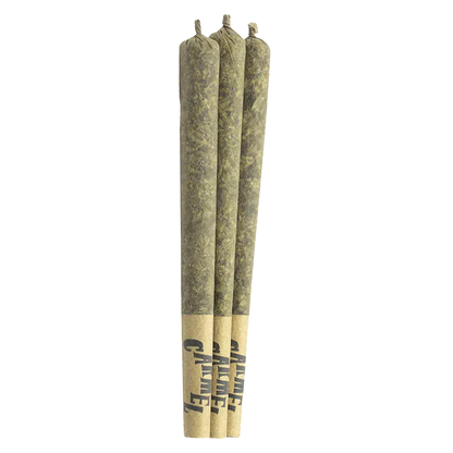 Three upright pre-rolled joints shown from the front against a white background, labeled Astronaut Status PR 3 x 0.5 g.