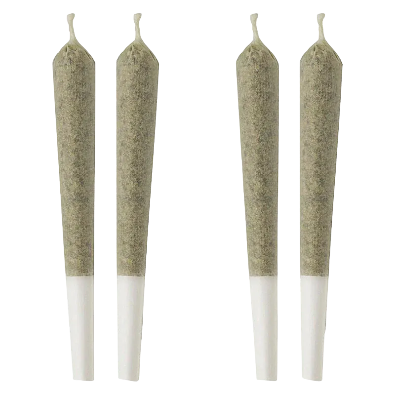 Top-down view of four evenly spaced Cali Kush PR 4 x 1 g pre-rolls with greenish wraps and white filter tips on a white background.