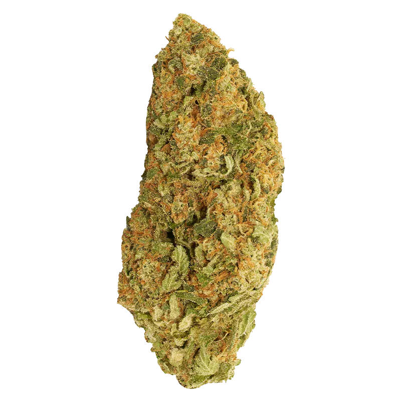 Single top-down studio shot of the Blueberry Donuts cannabis bud against a white background, showing green and orange trichome-covered details.