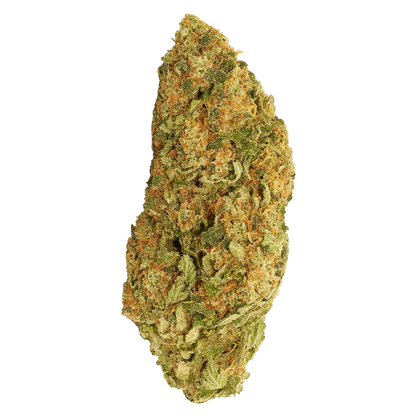 Single top-down studio shot of the Blueberry Donuts cannabis bud against a white background, showing green and orange trichome-covered details.