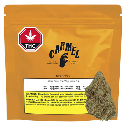 Front view of the golden Carmel Big Apple pouch with THC symbol and a cannabis bud photographed at its lower right.