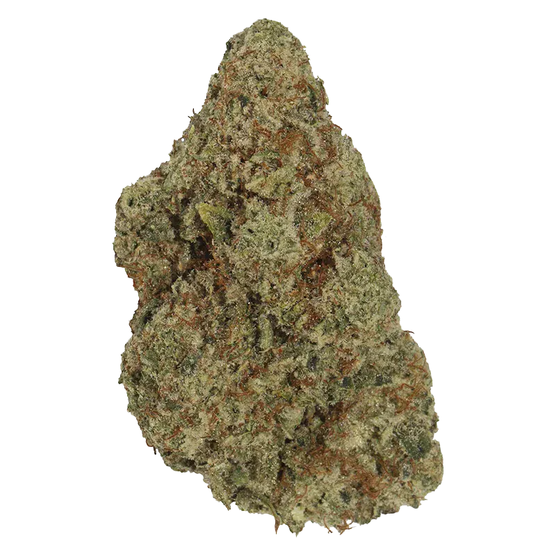 Close-up of a single dried bud of Big Apple against a plain white background, showing green leaves, orange hairs, and crystalline trichomes.