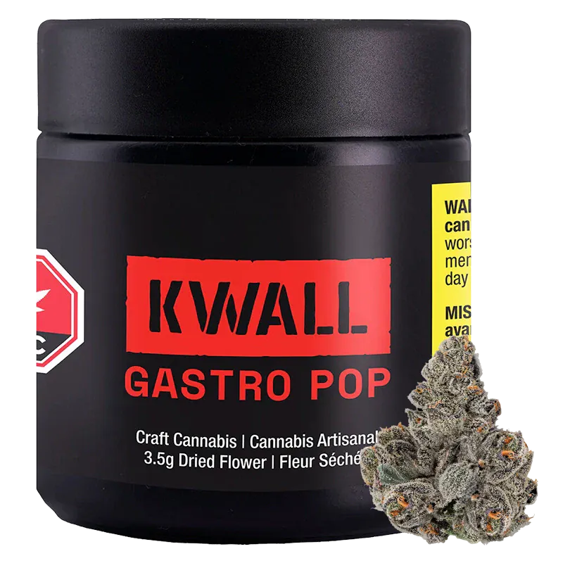 Front-facing shot of a black jar labeled "KWALL GASTRO POP" with bold red logo and a frosty cannabis bud at the lower right.