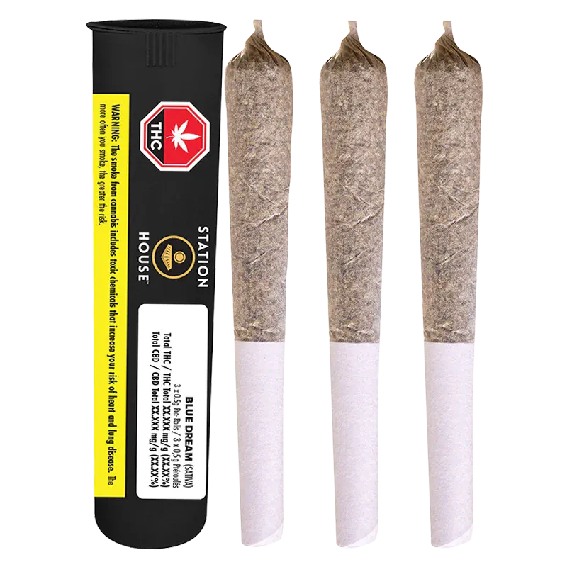 Three pre-rolled joints standing upright beside a black tube packaging labeled "Blue Dream PR 3 x 0.5 g" against a white background.