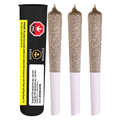 Three pre-rolled joints standing upright beside a black tube packaging labeled "Blue Dream PR 3 x 0.5 g" against a white background.
