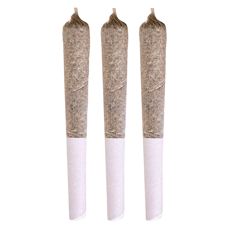 Three upright pre-rolled joints in a row photographed against a white background labeled Blue Dream PR 3 x 0.5 g.