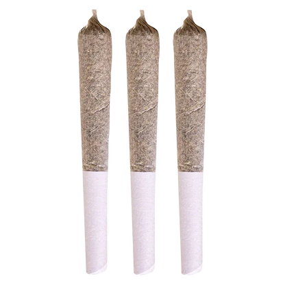 Three upright pre-rolled joints in a row photographed against a white background labeled Blue Dream PR 3 x 0.5 g.