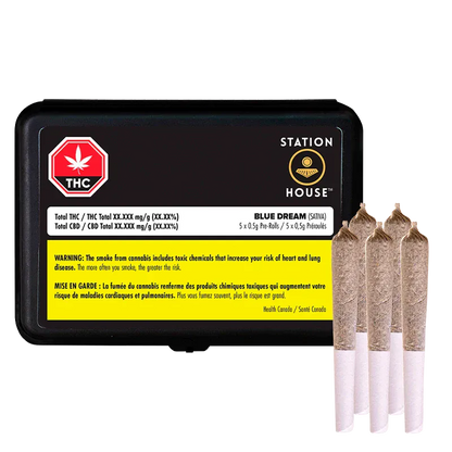 Rectangular black tin labeled "Blue Dream PR 5 x 0.5 g" sits at left with four rolled joints standing upright to its right.