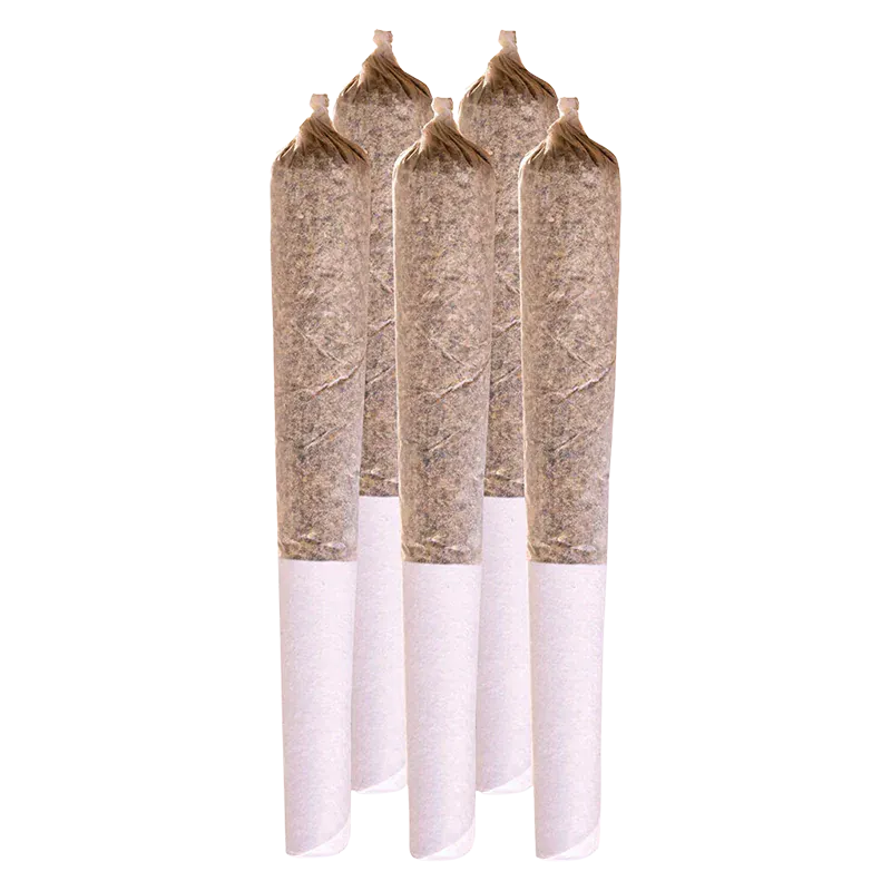 Close-up front view of five pre-rolled joints arranged vertically showing brown twisted tips and white filters, Blue Dream PR 5 x 0.5 g.