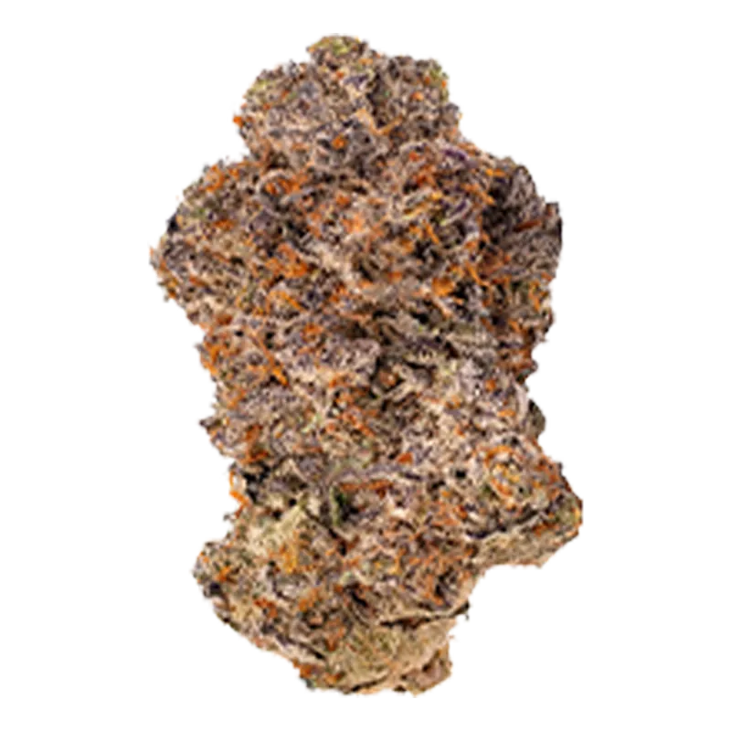 Castle Rock Farms 14 g Vanilla Cream Flower