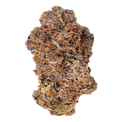 Castle Rock Farms 14 g Vanilla Cream Flower