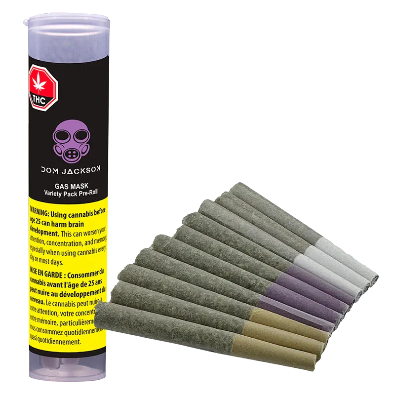 Angled view of a tube and fan of pre-rolled joints, showing the Gas Mask Variety Pack PR 12 x 0.5 g tube label and twelve gray paper rolls.