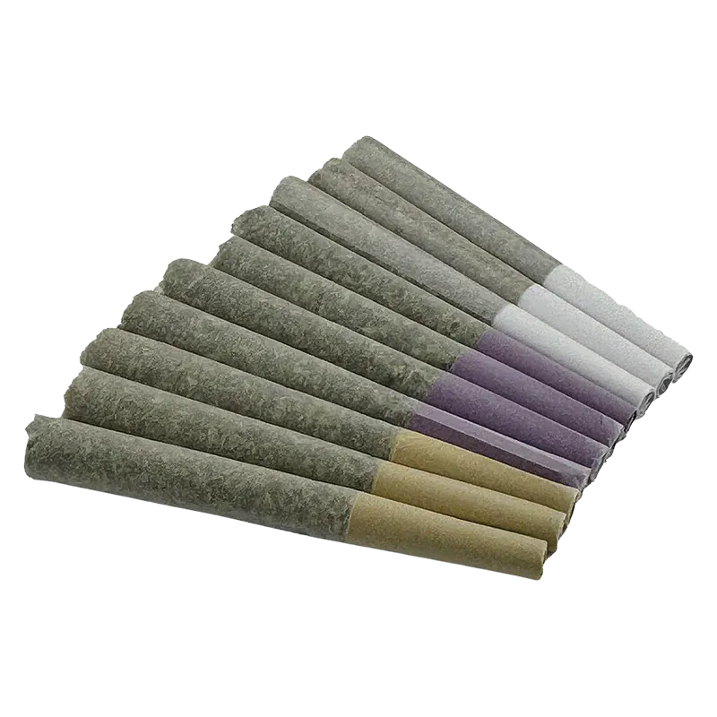 Diagonal top-down view of a fan of pre-rolled joints labeled Gas Mask Variety Pack PR 12 x 0.5 g, showing grey paper with purple, white, and tan filters.