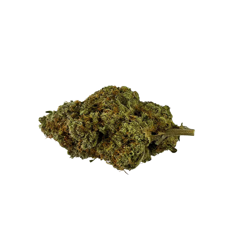 Close-up, side view of a single dried flower bud of Organic Apex Kush showing green and amber hairs and a short stem on a white background