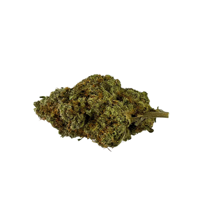 Close-up, side view of a single dried flower bud of Organic Apex Kush showing green and amber hairs and a short stem on a white background
