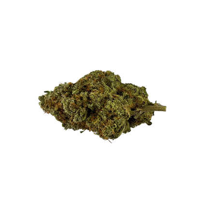 Close-up of a single green and amber bud of Organic Apex Kush shown against a white background, photographed from a slight top-front angle.
