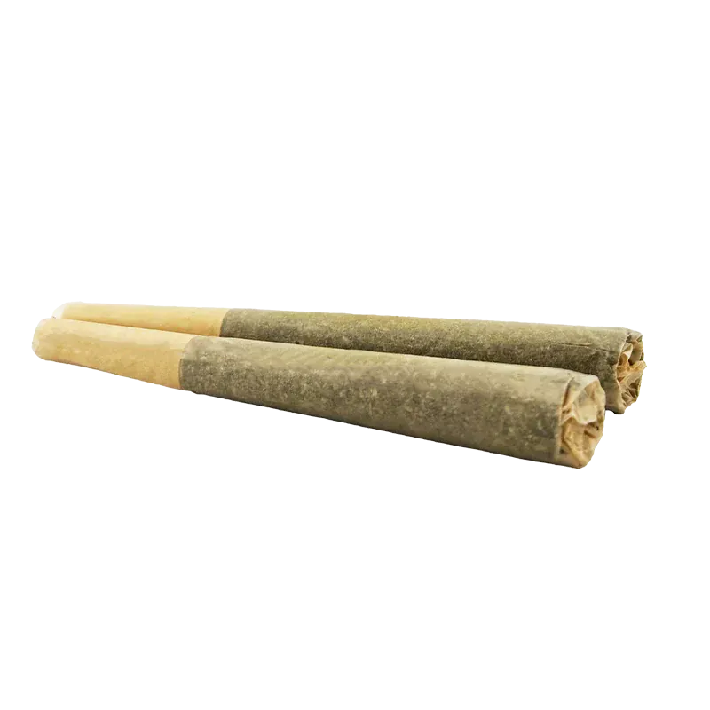Low-angle close-up of two Organic Apex Kush PR 2 x 1 g pre-rolls laid side-by-side on a white background.