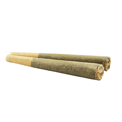 Low-angle close-up of two Organic Apex Kush PR 2 x 1 g pre-rolls laid side-by-side on a white background.