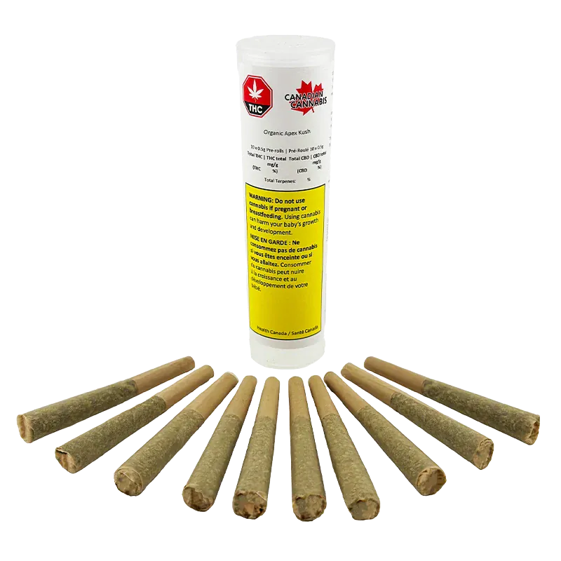 Front-on shot of a clear tube of Organic Apex Kush PR 10 x 0.5 g standing upright behind a semicircle of prerolled joints on a white background.