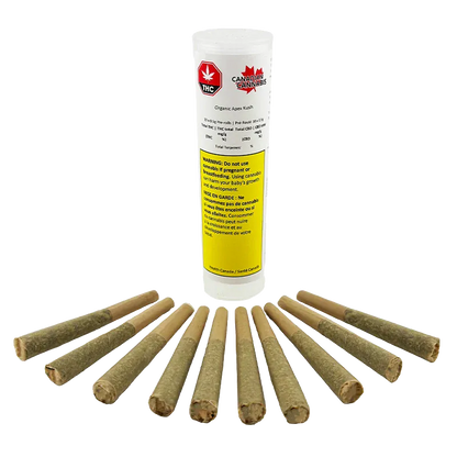 Front-on shot of a clear tube of Organic Apex Kush PR 10 x 0.5 g standing upright behind a semicircle of prerolled joints on a white background.