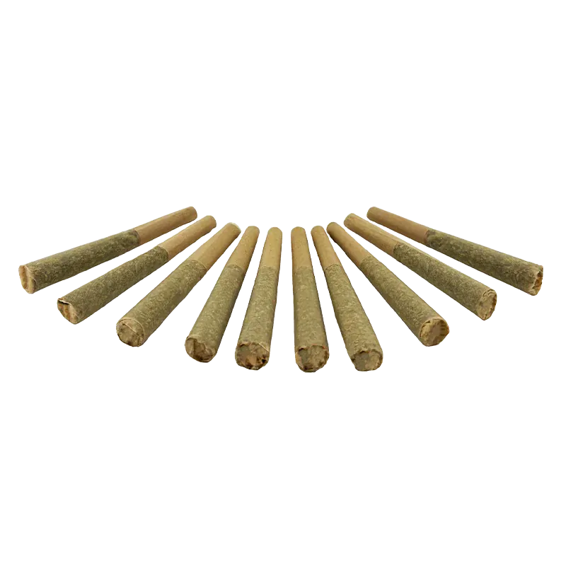 Low-angle row view of twelve pre-rolled Organic Apex Kush PR 10 x 0.5 g joints fanned out on a white background.