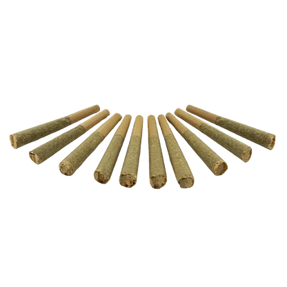 Low-angle row view of twelve pre-rolled Organic Apex Kush PR 10 x 0.5 g joints fanned out on a white background.