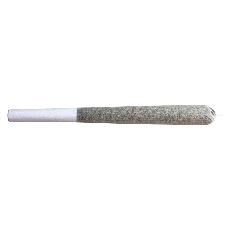 Horizontal close-up of a single rolled "Glazed Apricot Gelato PR 5 x 0.5 g" joint on a white background, showing its white paper filter and twisted tip.