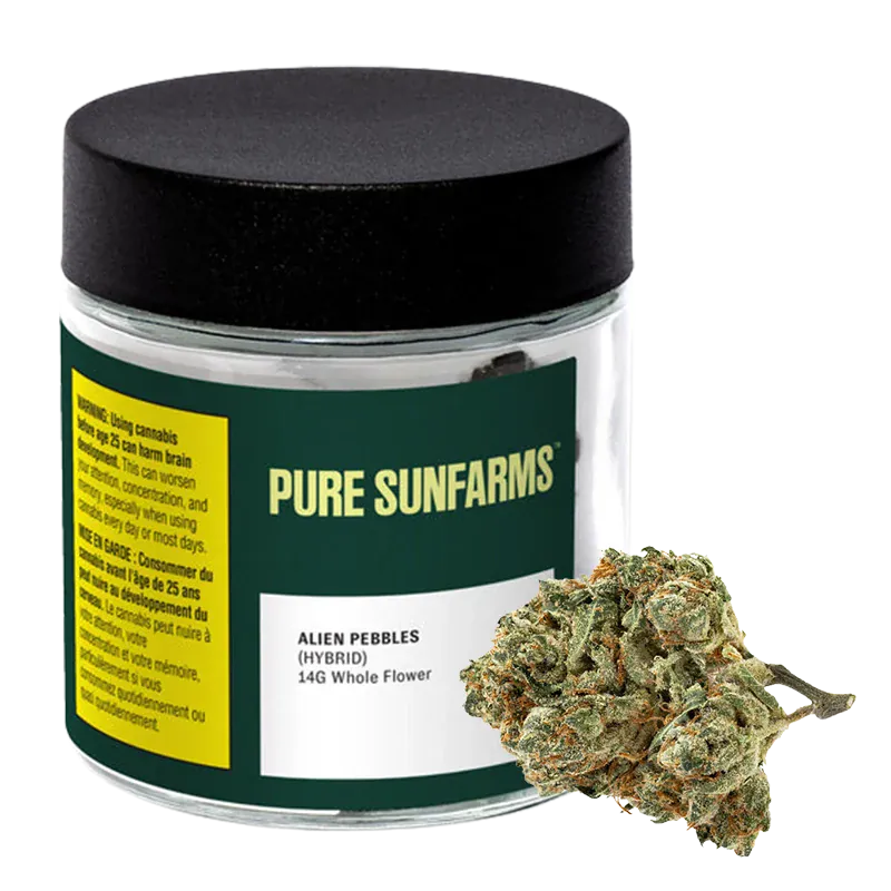 Front three-quarter view of a Pure Sunfarms Alien Pebbles jar with black lid and a cluster of green, orange-flecked buds beside it.