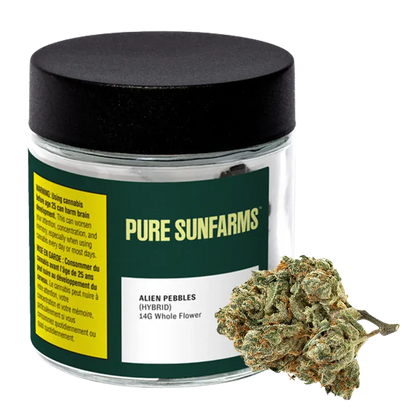 Front three-quarter view of a Pure Sunfarms Alien Pebbles jar with black lid and a cluster of green, orange-flecked buds beside it.