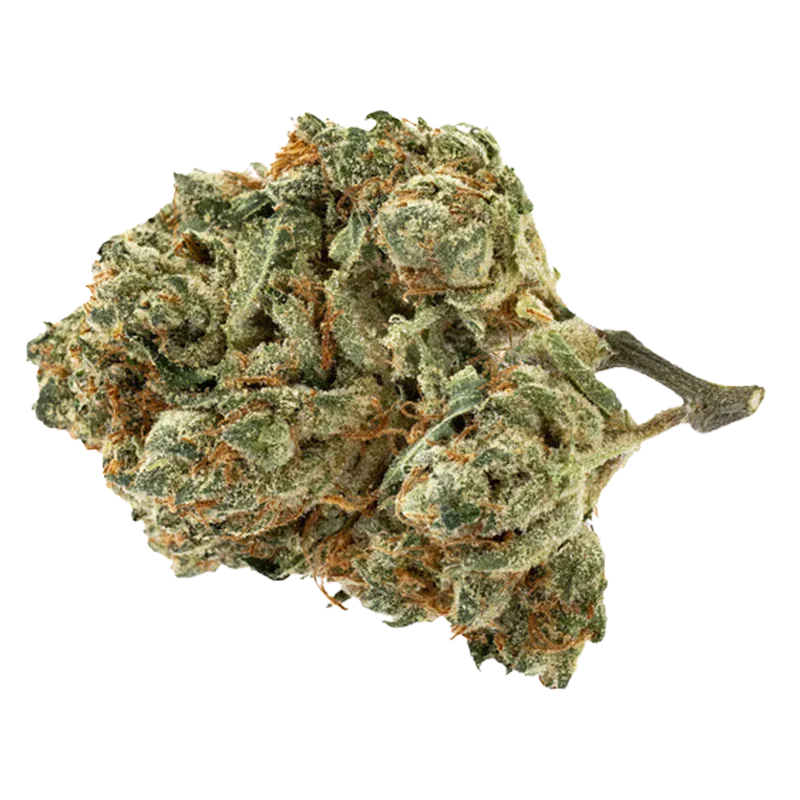 Close-up of a frosty green bud labeled Alien Pebbles showing dense trichome-covered nugs and orange hairs against a white background.