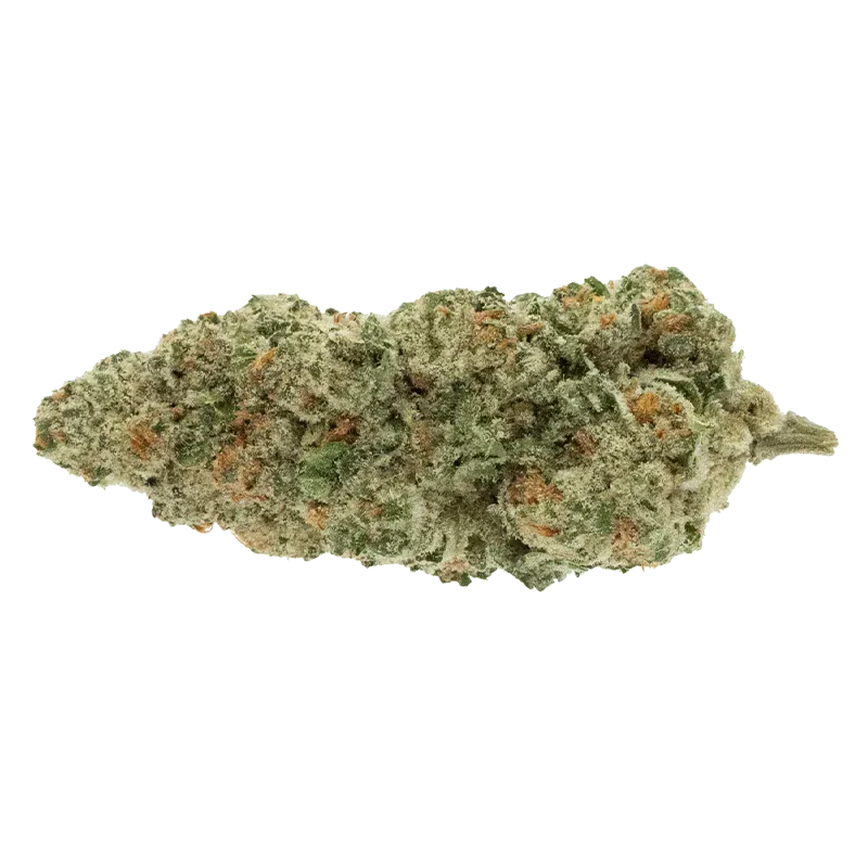Close-up side view of the frosty, green-and-orange bud of Trial No. 015 centered on a white background.
