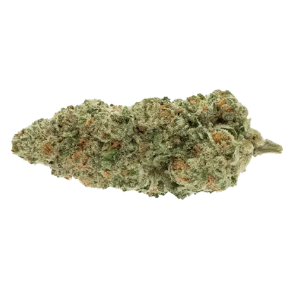 Close-up side view of the frosty, green-and-orange bud of Trial No. 015 centered on a white background.