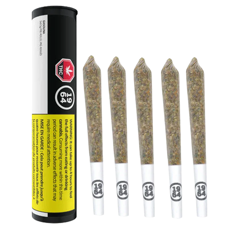 Right-side view of five pre-rolled joints with white tips stamped "1964" next to a standing black-and-white tube labeled Gasolina PR 5 x 0.5 g.