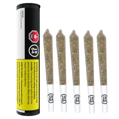 Right-side view of five pre-rolled joints with white tips stamped "1964" next to a standing black-and-white tube labeled Gasolina PR 5 x 0.5 g.